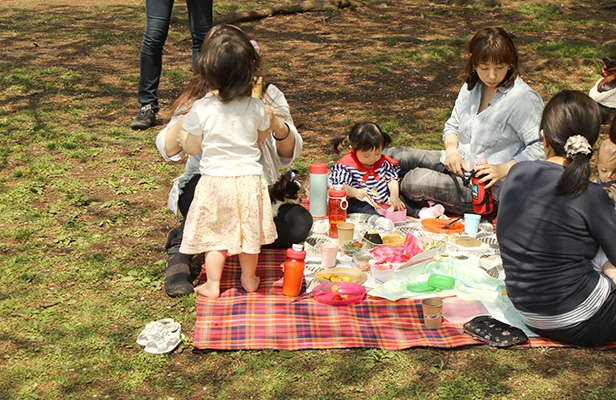 picnic08